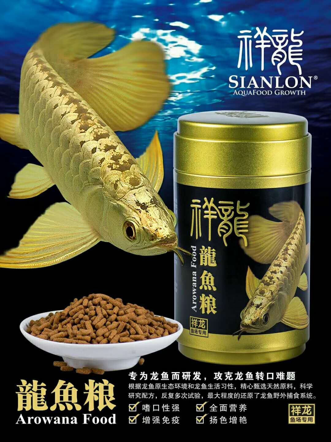 United Arab Emirates Golden dragon fish food