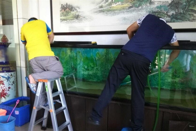 United Arab Emirates Fish tank cleaning and maintenance