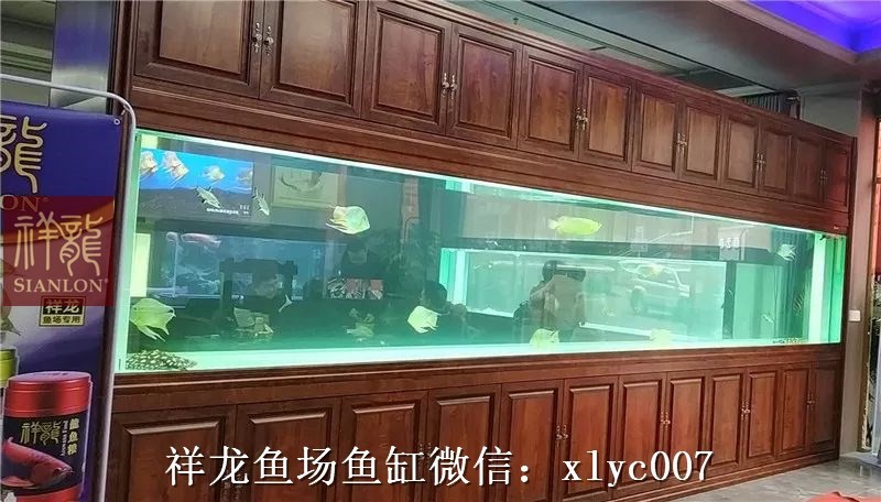 United Arab Emirates Large aquarium customized 6M